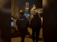В Волгоградской области задержали отравившего лошадей кислотой рецидивиста 
