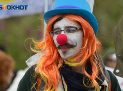 Любимое занятие волгоградцев – проходить различные тесты