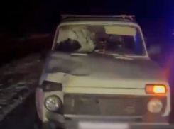 Пешеход скончался после наезда «Нивы» под Волгоградом — видео 