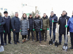 Ни пылинки на ботинках, лопаты с этикетками: волгоградские ВИПы ради пиара выехали на посадку сосен