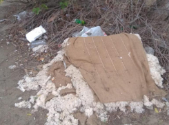 «Грязь повсюду»: из-за неразмежеванной территории за домами волгоградцы вынуждены страдать