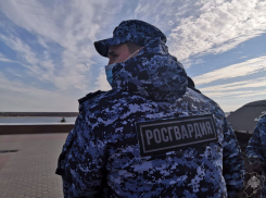 Росгвардии отказали в охране участков мировых судей в Волгоградской области за 1,5 млн рублей