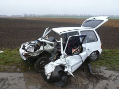 Ока протаранила пикап на трассе под Волгоградом: 2 погибли, 1 в больнице