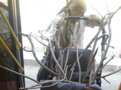 Набитая «осиновыми кольями» детская коляска напугала волгоградцев в автобусе «Питеравто»