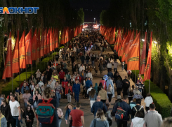 Волгоградские музеи в среднем посещают 13 человек в день