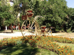 Волгоградцам подарили цветочный велосипед