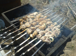 В Волгоградской области запретили жарить шашлыки на природе 