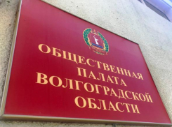 Завтра в Волгограде выберут председателя Общественной палаты региона