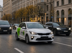 Снова на работу и учёбу: Drivee проанализировал, как изменились городские поездки в Волгограде с началом осени