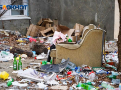 Волгоградская область присоединилась к генеральной уборке страны