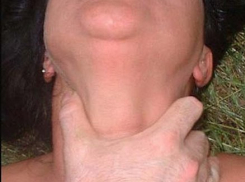 Под Волгоградом мужчина пытался задушить возлюбленную на глазах полицейских 