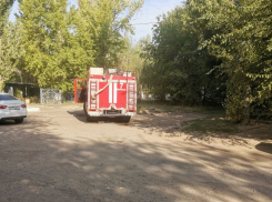 В Волгограде 1 сентября поступили сообщения о минировании детских садов и школ