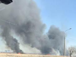 На видео попал полыхающий камыш в Красноармейском районе Волгограда 