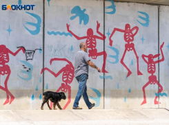 Волгоградцев после полудня просят не выходить на улицу 