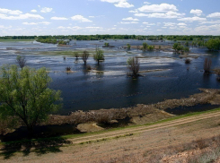 В Волго-Ахтубинскую пойму поступило 5 млн кубометров воды