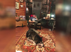 Вместе с классикой волгоградский депутат Осипов передал в музей книгу своего сочинения