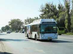 Выскочившая на дорогу девушка в наушника довела до больницы пассажира автобуса маршрута №21