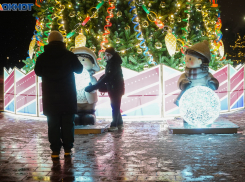 Снег, туман и гололедица: какая погода ждет волгоградцев 13 января