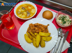 Миллиарды рублей, «захват» школ и отравления детей: как в Волгограде власти обогащают поставщика питания