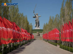 Снимать режим самоизоляции еще рано: волгоградцев призывают сидеть 9 мая дома