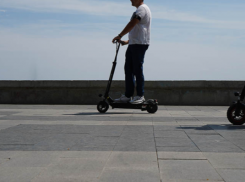 Новые ПДД вступают в силу в Волгоградской области