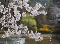 Гороскоп: под конец апреля Тельцы будут вынуждены сохранять дистанцию, а Раки смогут осуществить свои планы 