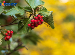 Мощное похолодание надвигается на Волгоградскую область