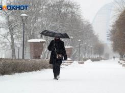 В Волгоградскую область вернется десятиградусный мороз и снег 