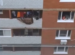 «Играют, сидя на подоконнике 3 этажа»: очевидцы сняли видео с детьми в Волгограде