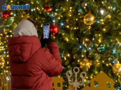 Волшебство огней и гигантская звезда: волгоградцев удивила новогодняя ель в Александровском саду