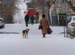 Тепло, туман и гололедица: погода в Волгограде на 1 февраля