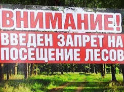 Волгоградцев оставили без шашлыков на природе до 12 октября