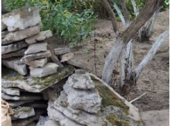 «Все завалено мусором»: волгоградцы пожаловались на «бег по кругу» с местной УК и регоператором