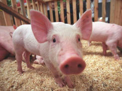 В 14 районах Волгоградской области введен режим ЧС