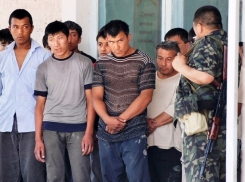 Полицейские задержали 40 иностранцев, работавших под Волгоградом