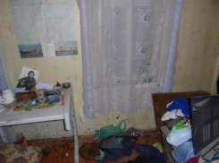 Под Волгоградом 19-летний забил телевизором  до смерти 64-летнего