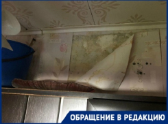 Волгоградцы жалуются на дырявую крышу многоэтажки и бездействие УК «Тандем»