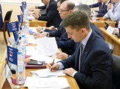 Депутаты Волгоградской гордумы решили: вместо леса быть промышленному карьеру