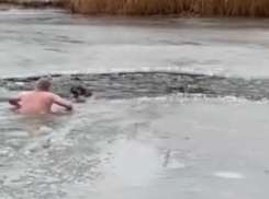Трогательное спасение собаки в ледяном пруду в Волгограде попало на видео