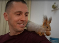 «Прячет носки и грызет растения»: волгоградец показал свою белку на всю страну 