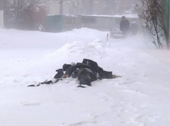 Окоченевший труп обнаружен на юге Волгограда 