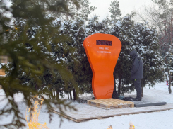 Вместо килограммов — морковки: в волгоградском парке появились необычные весы