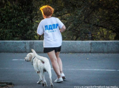 В Волгоградской гордуме срочно создали еще одну фракцию