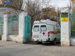 В Волгоградской области зарегистрирован первый случай лихорадки Западного Нила