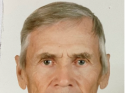 В Волгограде бесследно исчез 79-летний пенсионер