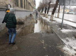 Илона Маска  житель Волгограда попросил убрать лужу в центре города