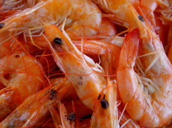 Волгоградцев возмутило свинство покупателей в «Ашане»