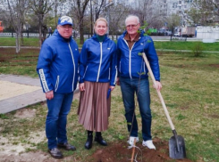 В Волгограде увековечили подвиг медработников «красной зоны»