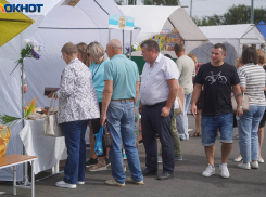 Зарплаты снизились у волгоградцев: Росстат