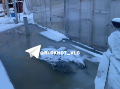 Собственные «купели» появились на Крещение в частном секторе Волгограда